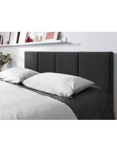 Lit Coffre en Velours Avec Tête de Lit, Couleur Gris Foncé, Pyla, Marque Micadoni